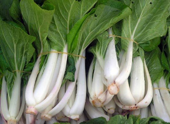 Bok choy